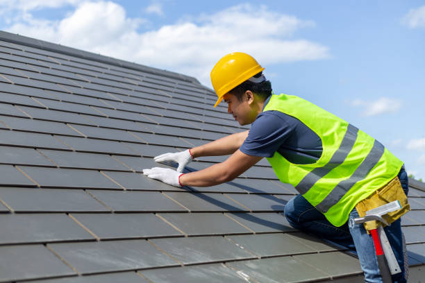 Roof Gutter Cleaning in Centreville, MI