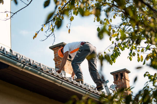 Best Slate Roofing Contractor  in Centreville, MI