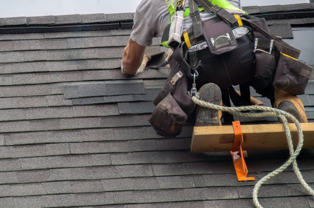 Best Roof Gutter Cleaning  in Centreville, MI