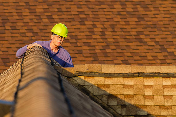 Roof Gutter Cleaning in Centreville, MI