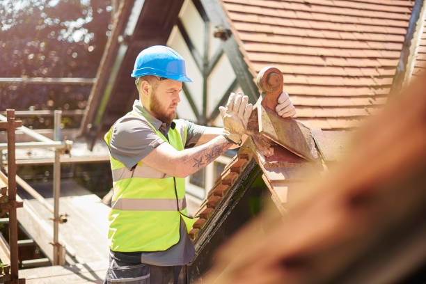 Best Residential Roof Replacement  in Centreville, MI
