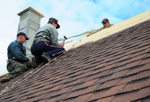 Best Roof Repair Specialists  in Centreville, MI